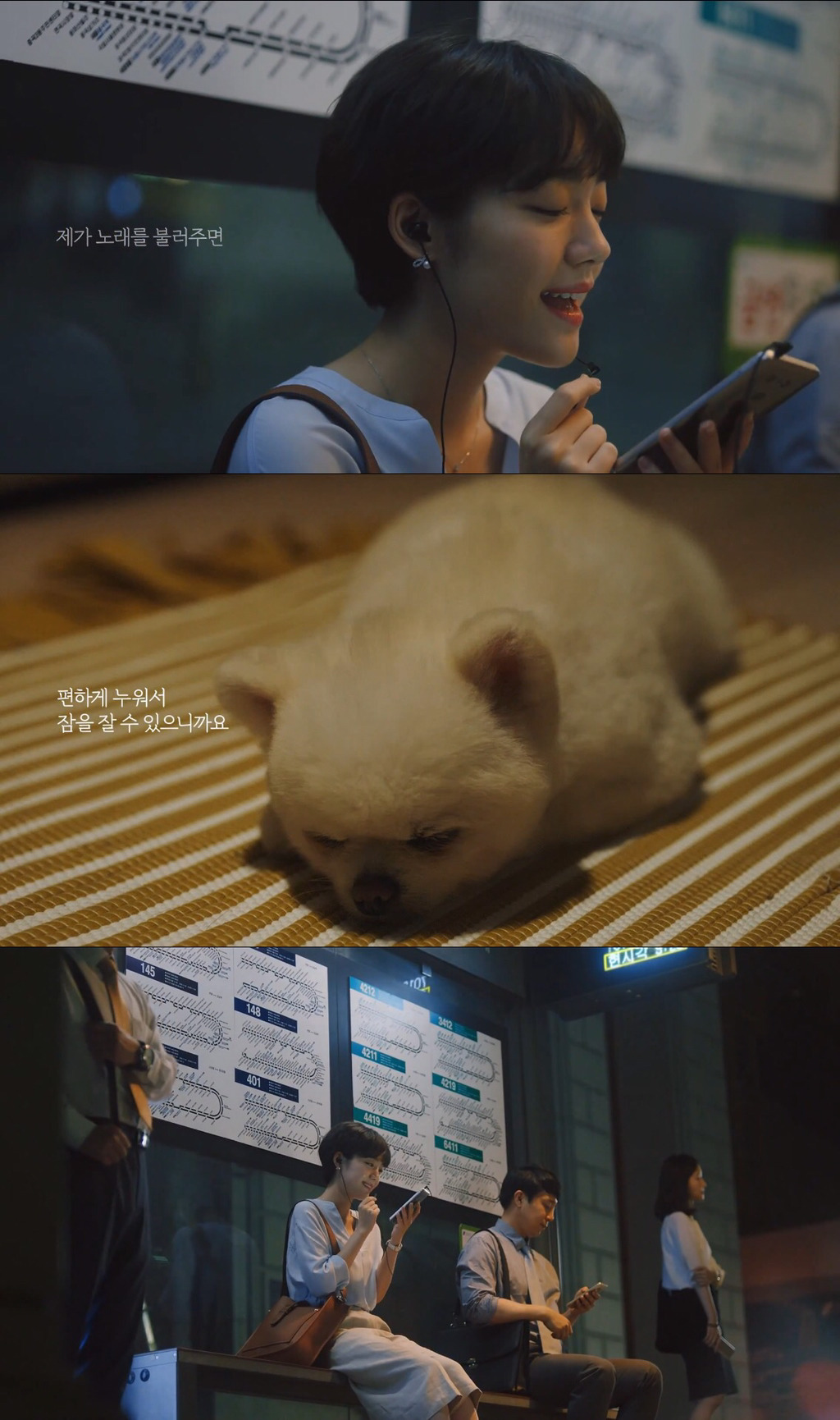 [눈물주의] 반려동물 반려인이라면 홀린듯 끝까지 보게 되는 유튜브 광고 | 인스티즈