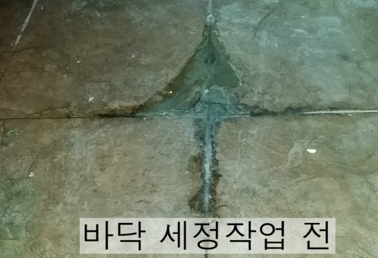 그린종합 이미지
