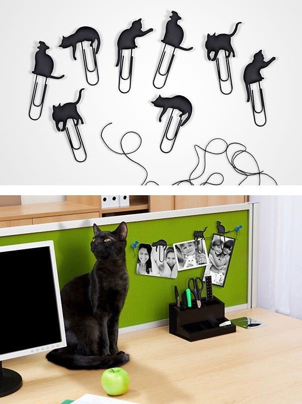 고양고양한 아이템들.jpg | 인스티즈