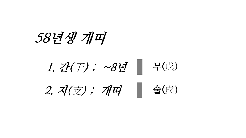 본인 태어난 해의 12간지는? | 인스티즈