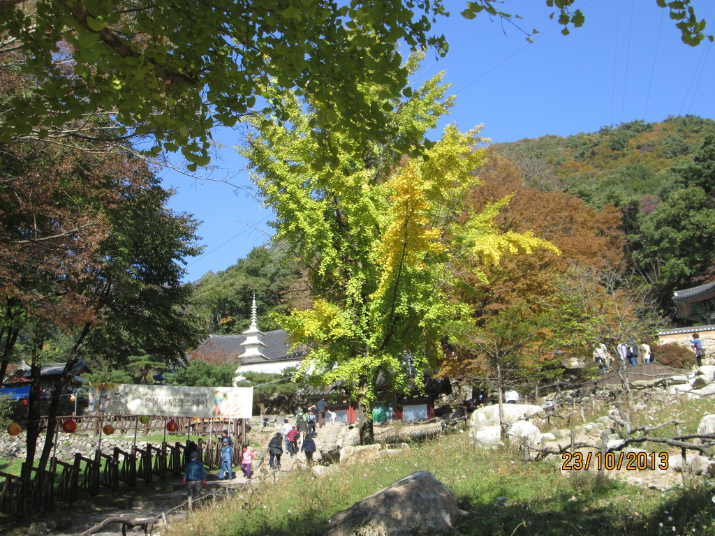 용문산 이미지