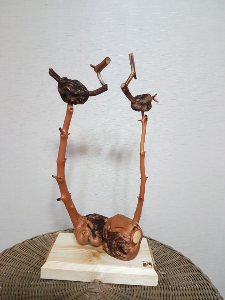 해로 이미지