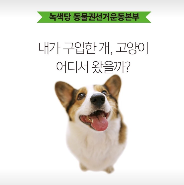 동물 학대하는 공장의 현실.jpg (불쌍함 주의) | 인스티즈