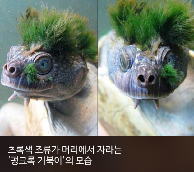 우리가 몰랐단 16가지 | 인스티즈