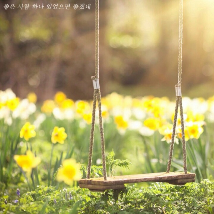 면장님 이미지