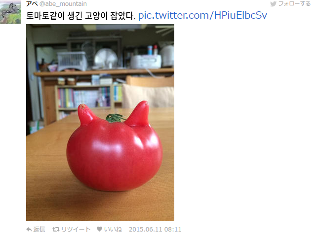 열도의 흔한 농작물들.jpg | 인스티즈