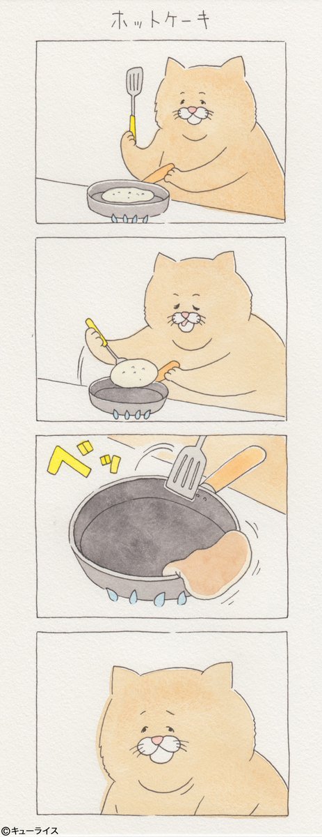 유감스러운 고양이 | 인스티즈