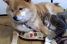 팔 저려.gif | 인스티즈