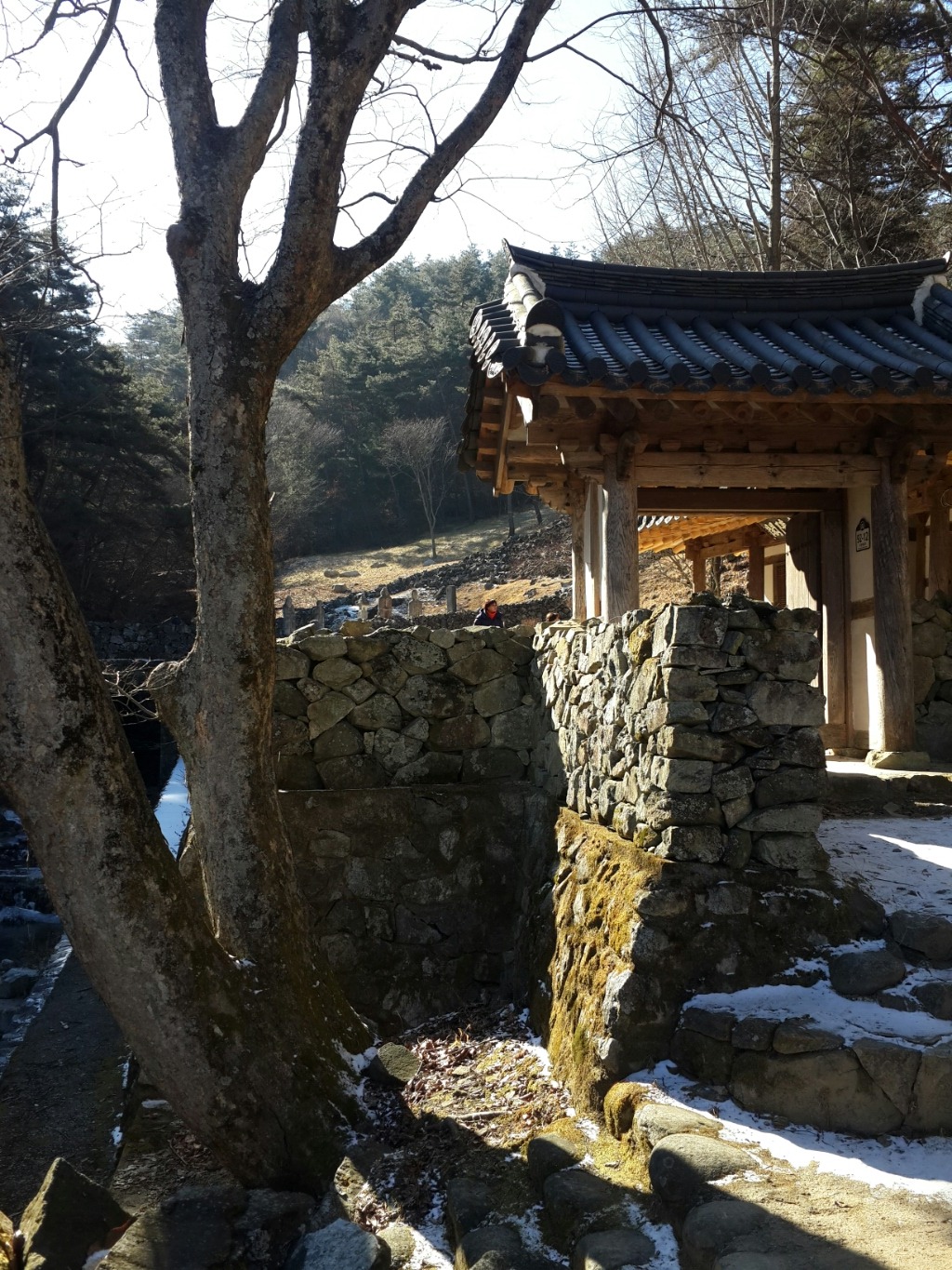 왕산골식당 이미지