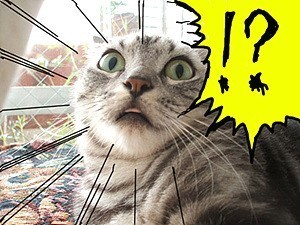 이 글은 오타쿠가 신세한탄하는 글입니다 | 인스티즈