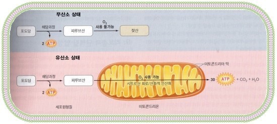 산소로 이미지