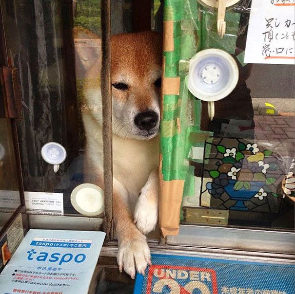 흔한가게 이미지