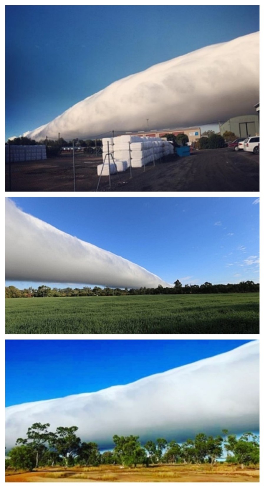 호주에서 관측된 기괴한 구름.jpg | 인스티즈