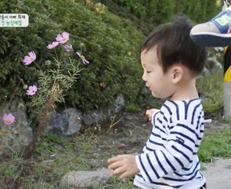 [슈퍼맨이돌아왔다] 자연친화적인 이 시대의 감성 유아 서언이~ㅋ | 인스티즈