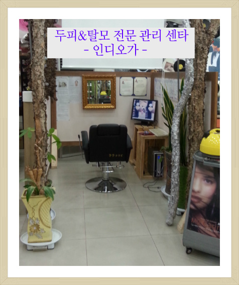 인디오가 이미지