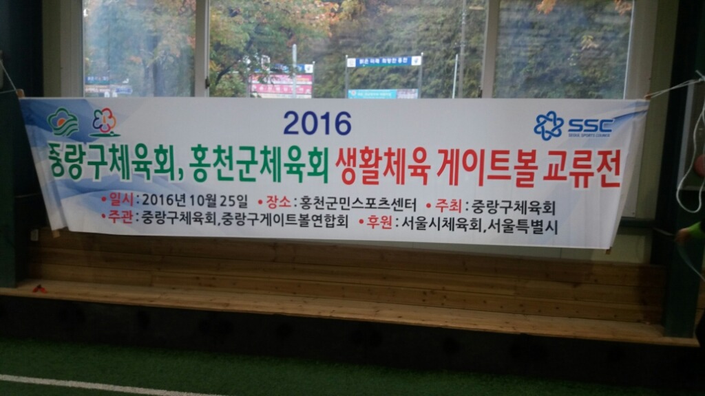 홍천군체육회 이미지