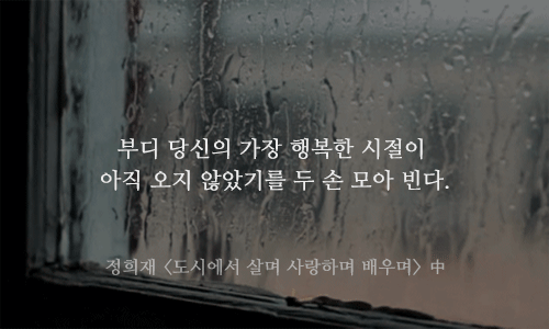 자존감이 낮은 당신에게 꼭 필요한 명언 13가지.gif | 인스티즈