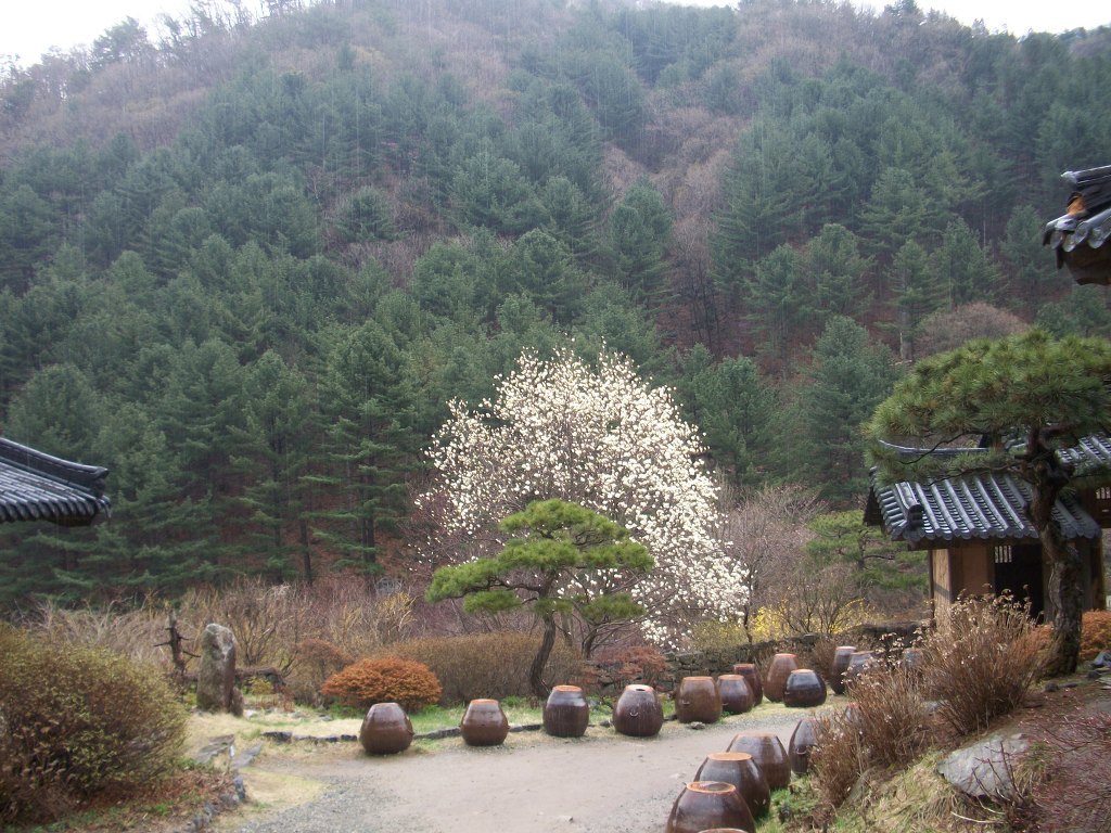 산천초목 이미지