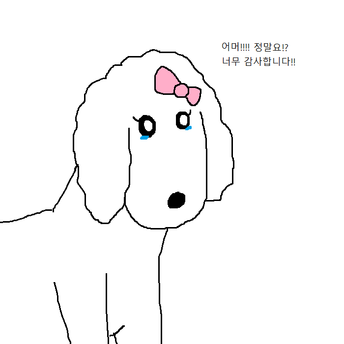 댕댕이의 운수좋은날.jpg | 인스티즈