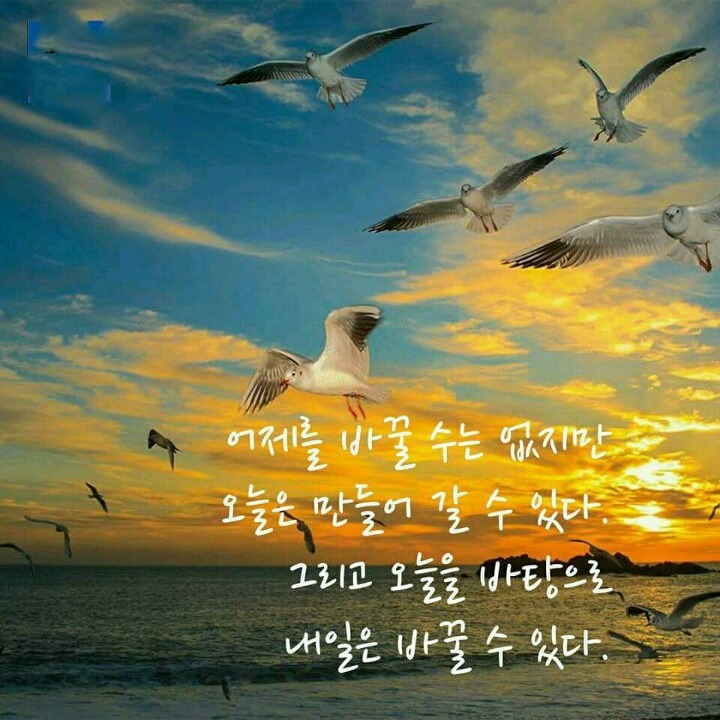 마냐나 이미지