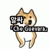 해킹하다 눈물 흘린 이야기.JPG | 인스티즈