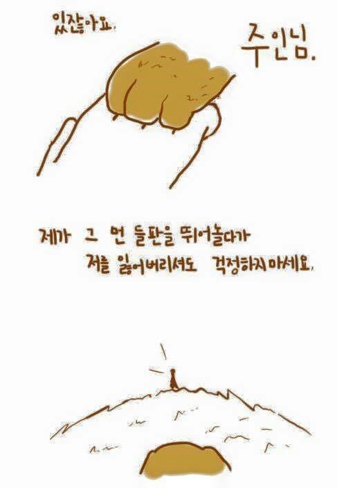 강아지와 주인의 이별법 | 인스티즈