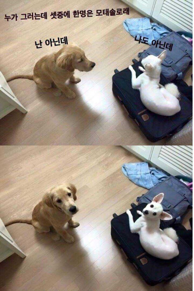 넌 이미지