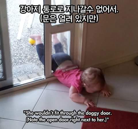아이들이 우는 이유 | 인스티즈