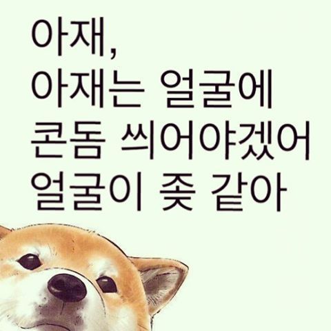 인스타그램의 계정ㅋㅋㅋㅋㅋ | 인스티즈