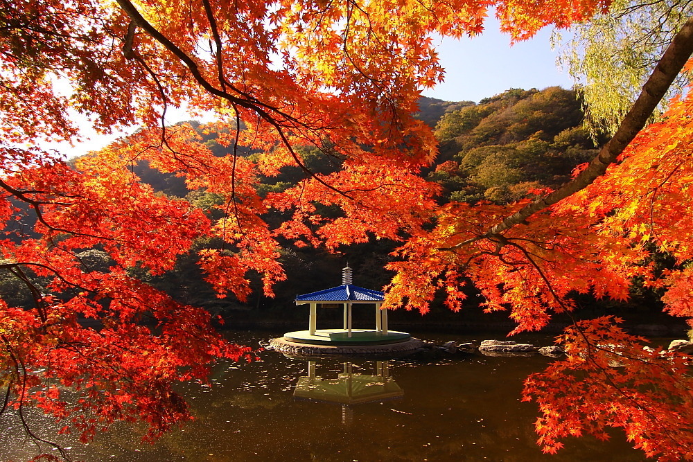 (유)한마음고속관광 이미지