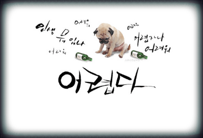 술시 이미지