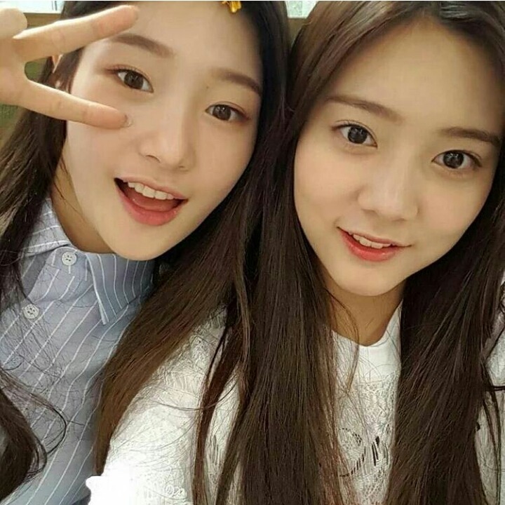 오늘자 댕채연.jpg | 인스티즈