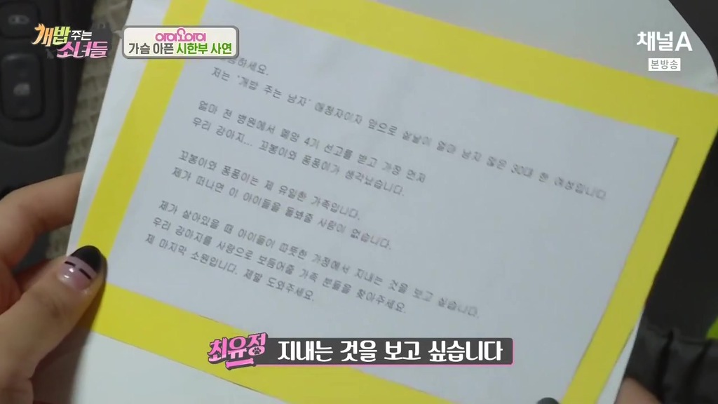 반려견 떠나보내는 암 말기 환자 ㅠㅠㅠ | 인스티즈