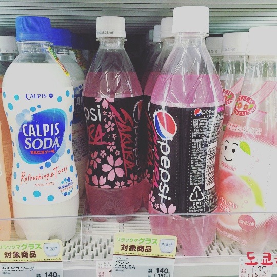 일본 한정판 벚꽃맛 나는 사쿠라 콜라 | 인스티즈