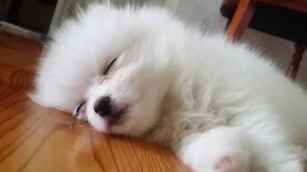 자꾸 눈이 가네 하얀 그 얼굴에.jpgif | 인스티즈