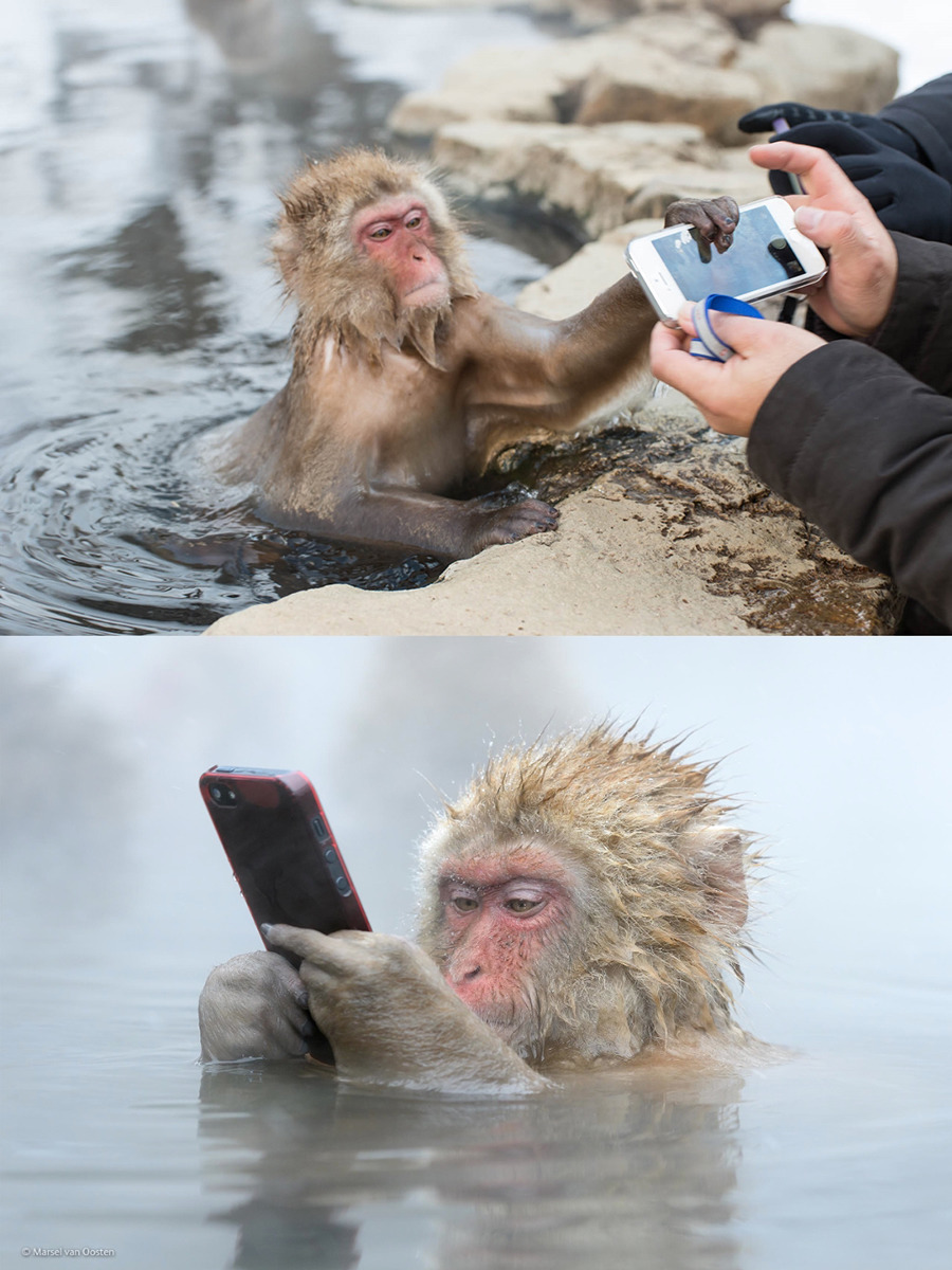 열도의 마을.jpg | 인스티즈