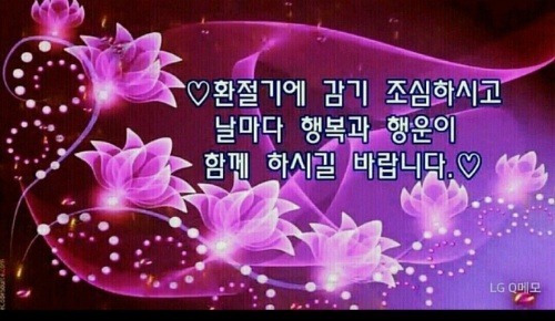 상상화로 이미지