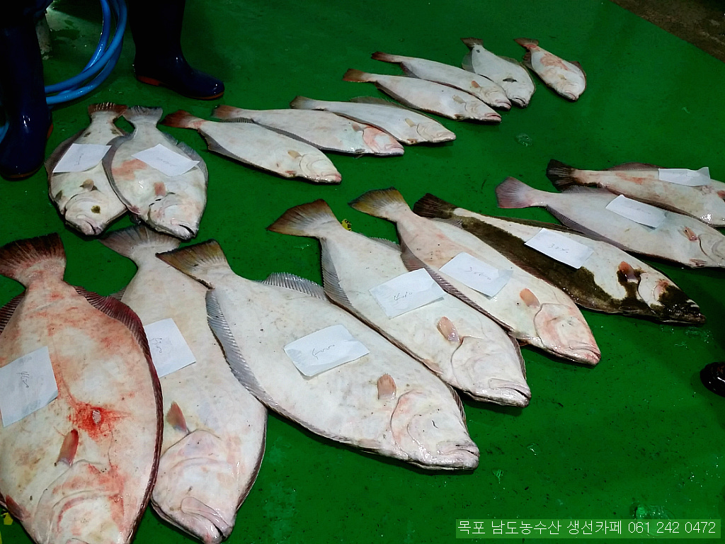 보교기획 이미지