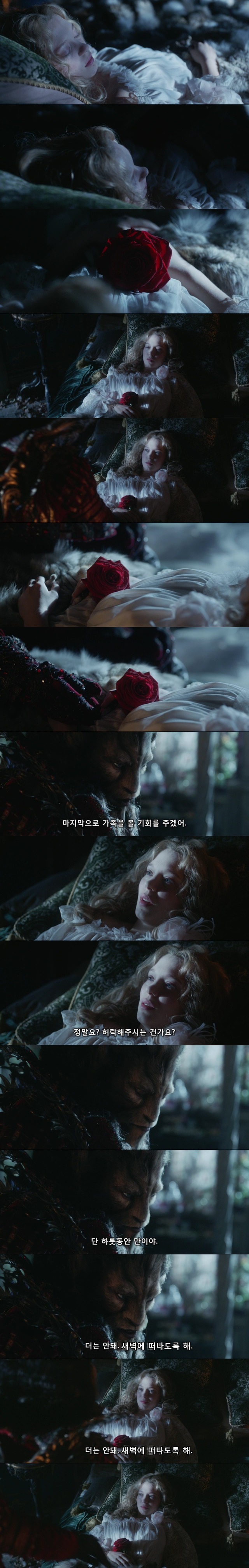 영화"미녀와 야수"(2014) 레아 세이두 / 뱅상 카셀 주연의 프랑스 판타지 로맨스! (7) | 인스티즈
