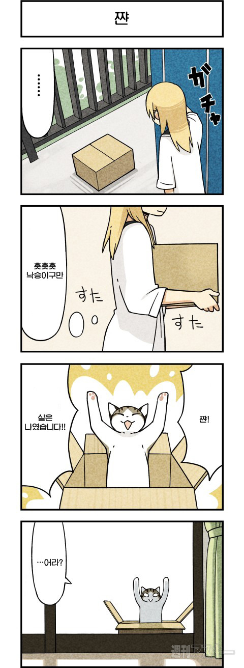 고양이가 말하는 만화.JPG | 인스티즈