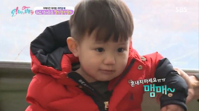 [오마이베이비] 천하의 먹태오가 먹을걸 다 거절한 사연 | 인스티즈