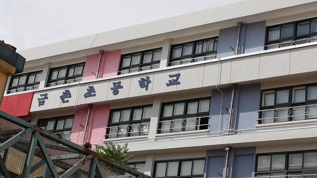 플라잉골프 이미지