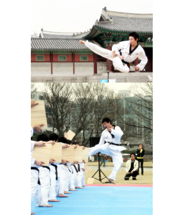 비김 이미지