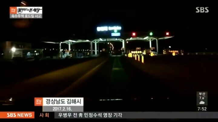 기적적인 강아지 로드킬 | 인스티즈
