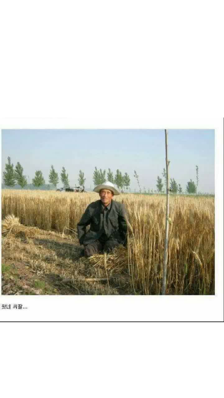 낫놓고 | 인스티즈