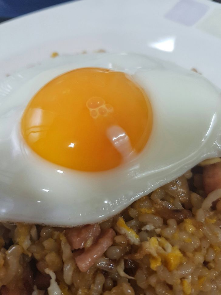 곰이 밟고 가도 안 터지는 반숙 계란후라이.jpg | 인스티즈