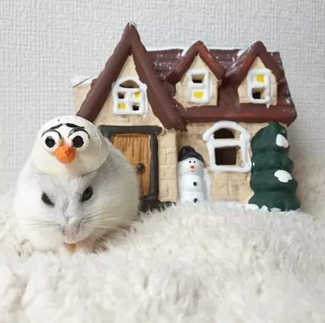 벼리 이미지