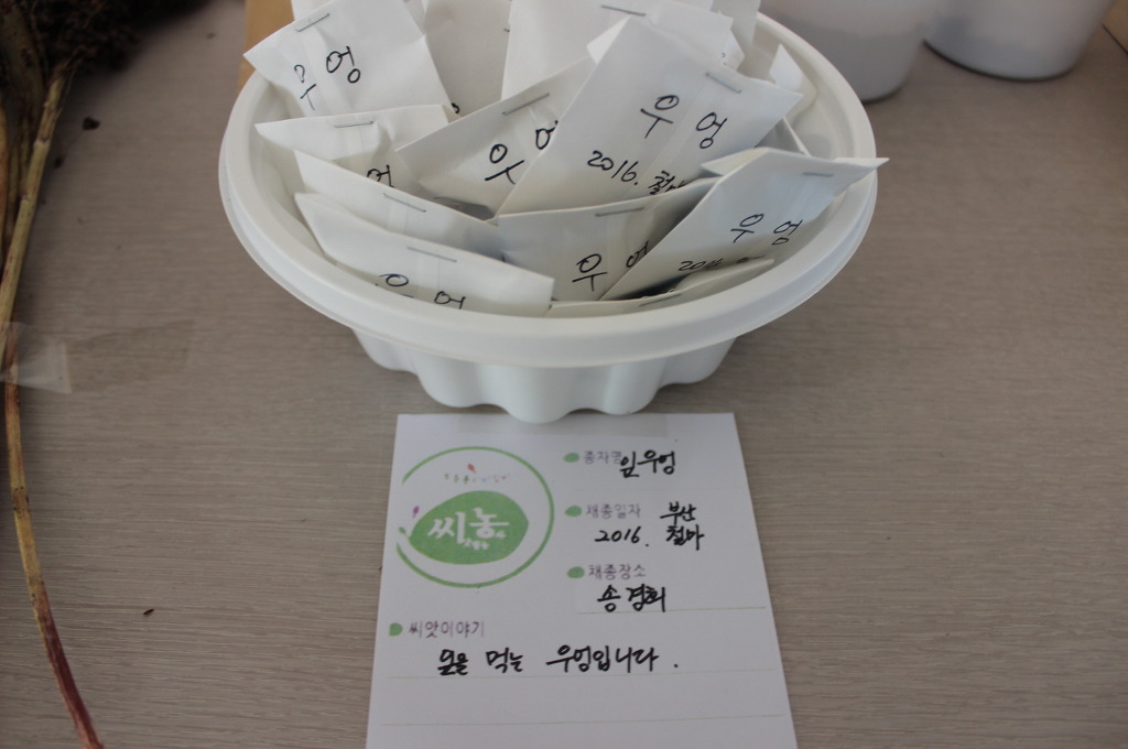 씨드림 이미지