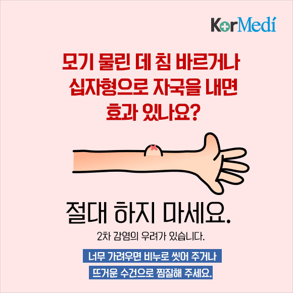 해충에 대한 오해와 진실(feat.바퀴)_약혐주의 | 인스티즈