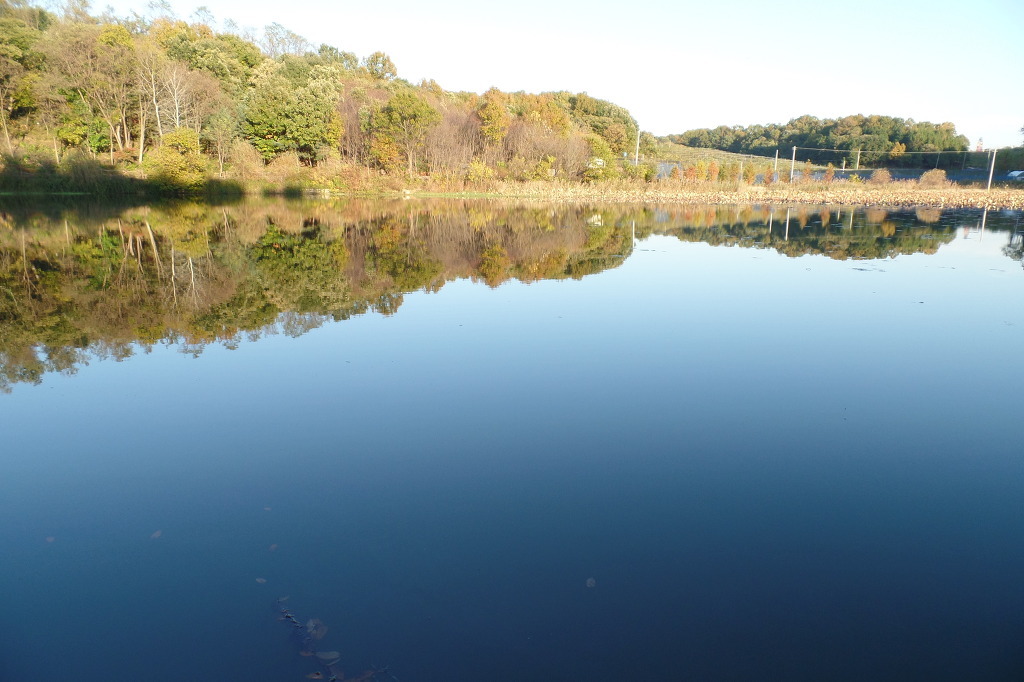 전주 오송제 호수에 비추인 동화 속 가을 풍경 사진을 전체 확대한 모습 감상 | 인스티즈